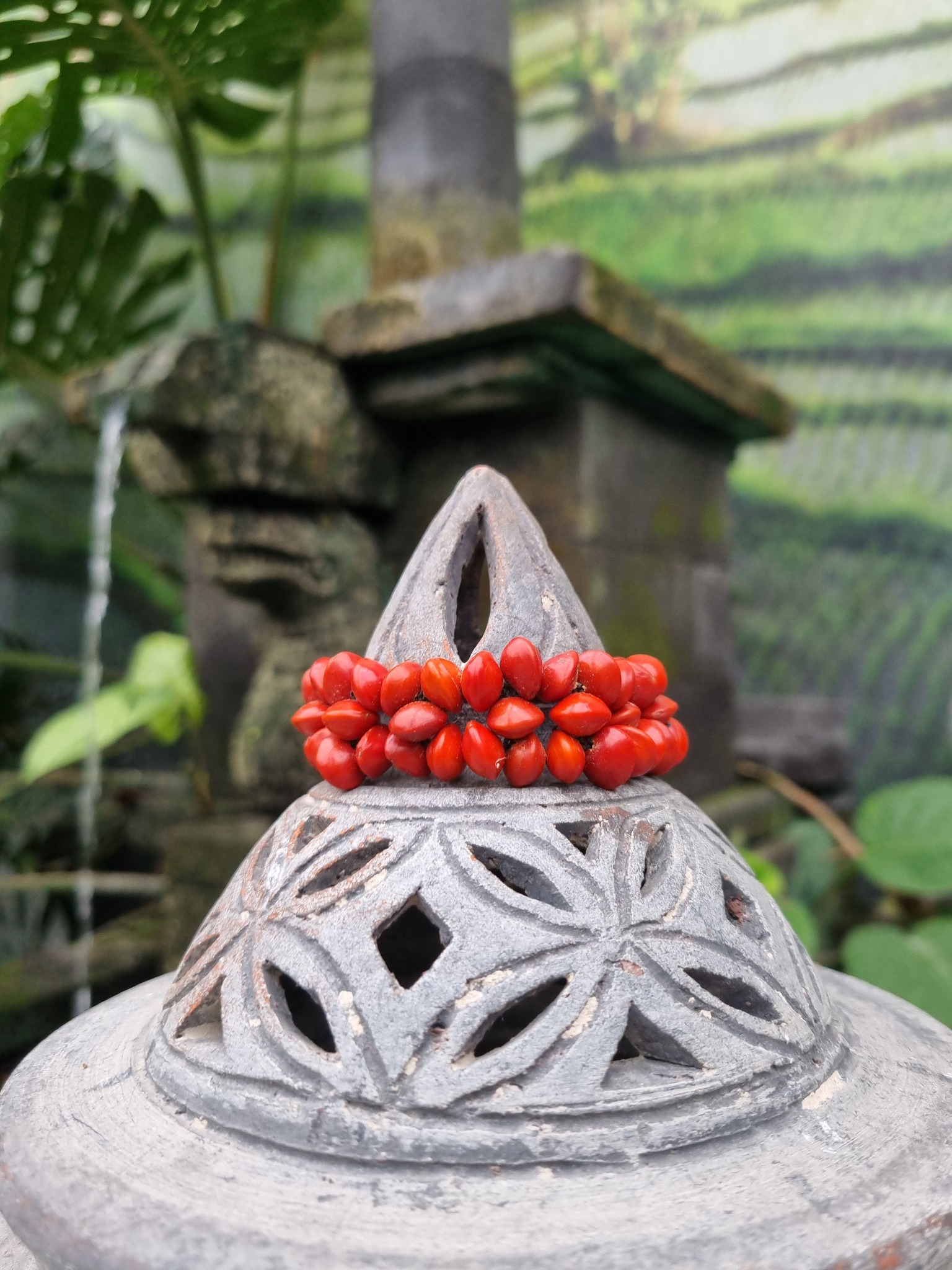 Met deze prachtige armband gemaakt van Saga zaden, steun je de Dayak Indianen