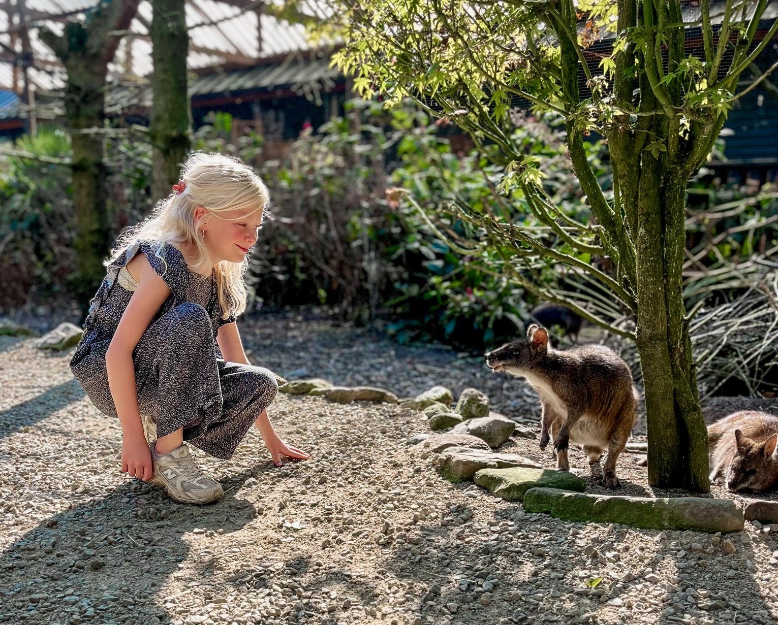 KinderKlas: Masterclass dierenverzorging