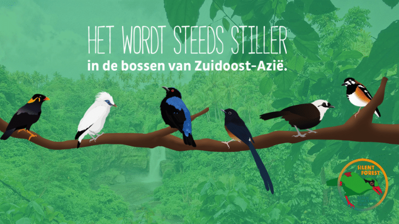 Vogels spotten
