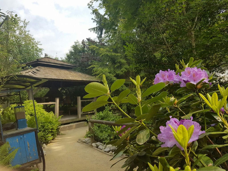 Laat je inspireren door de tuin van Taman Indonesia