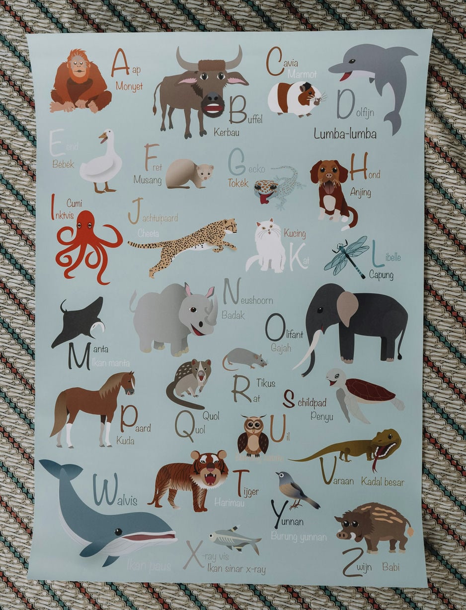 Leuke poster voor op de kinderkamer met alle dieren. Bij elk dier staat zowel de Nederlandse als Indonesische naam. Leer op een spelende wijze Indonesische woordjes.