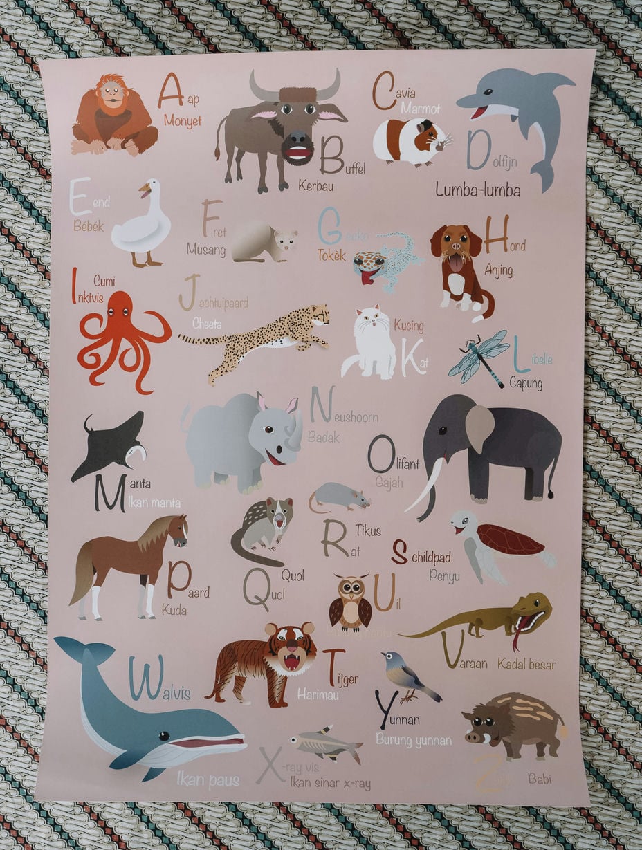 Leuke poster voor op de kinderkamer met alle dieren. Bij elk dier staat zowel de Nederlandse als Indonesische naam. Leer op een spelende wijze Indonesische woordjes. 