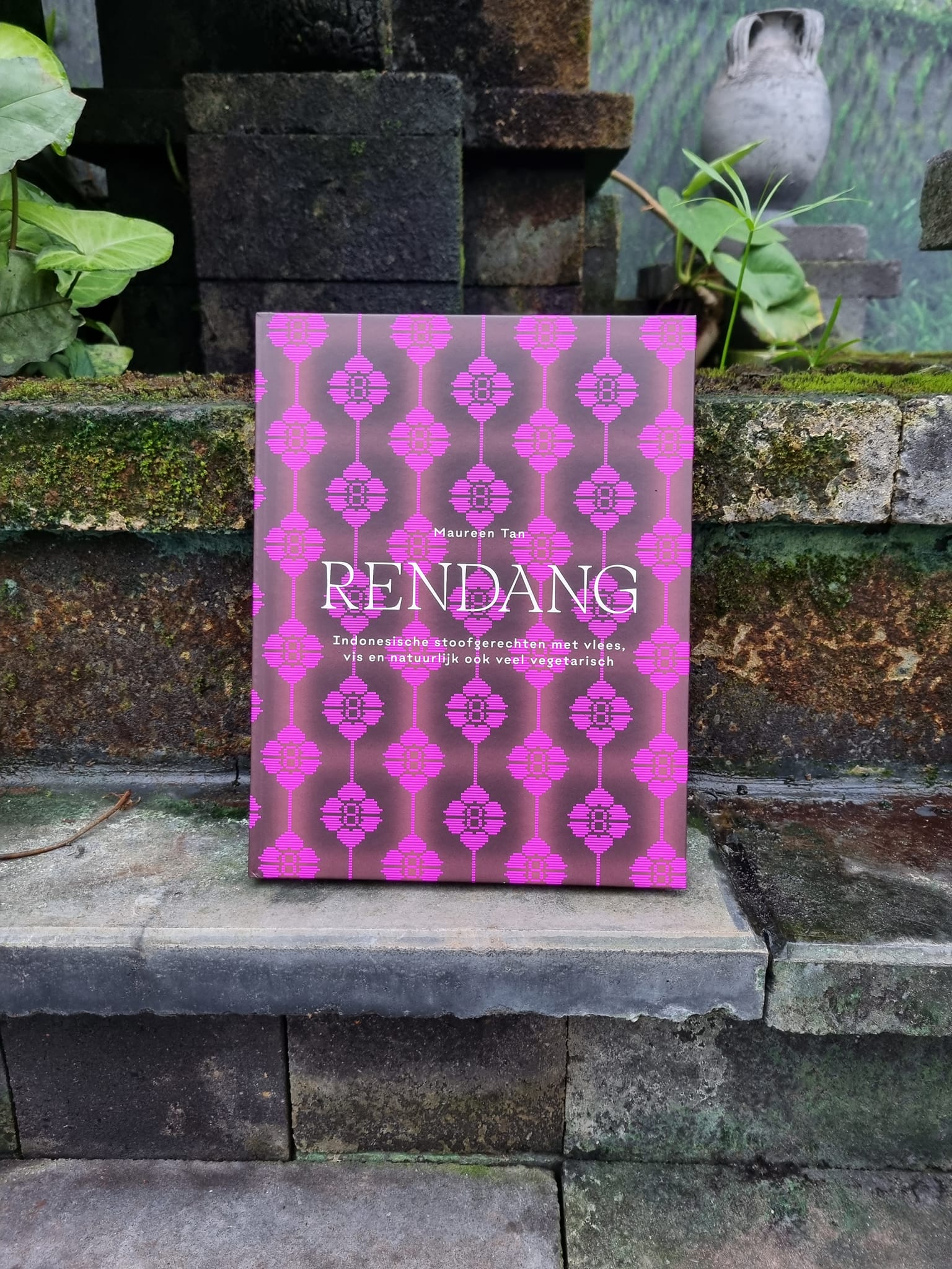 Een heerlijk kookboek met Indonesische stoofgerechten met niet alleen rundvlees, maar ook vegetarisch, vis en kip. Goddelijk!